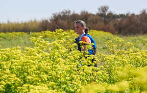 Crédits : organisation